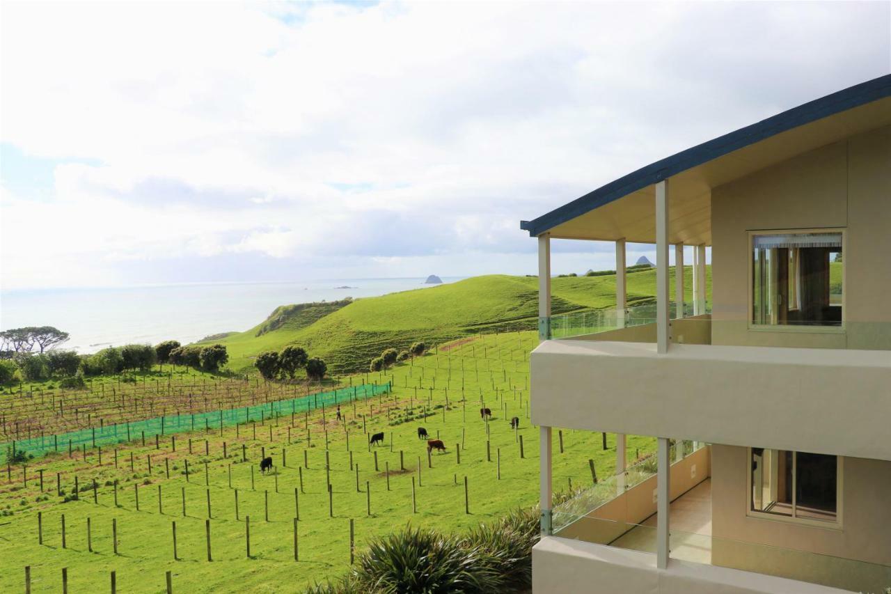 Chalets At Okurukuru Νιου Πλύμουθ Εξωτερικό φωτογραφία